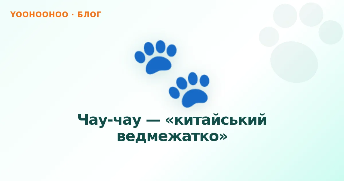 Чау-чау — «китайський ведмежатко»