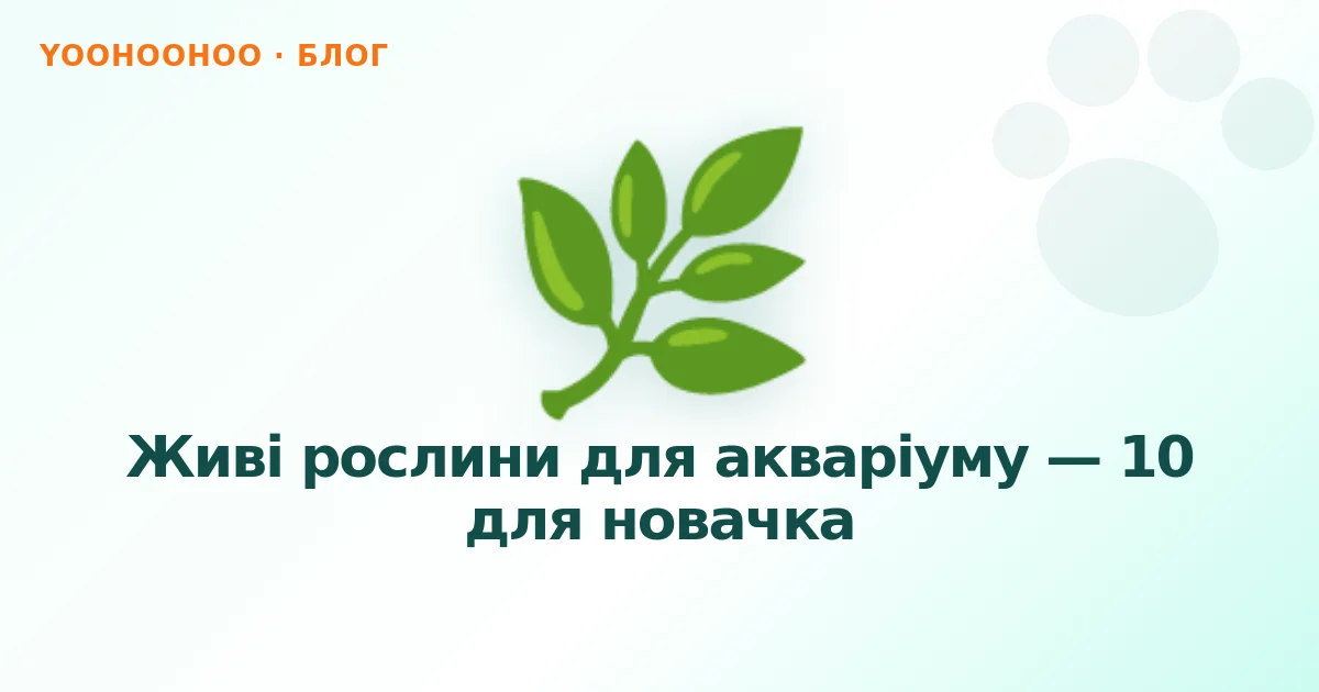 Живі рослини для акваріуму — 10 для новачка