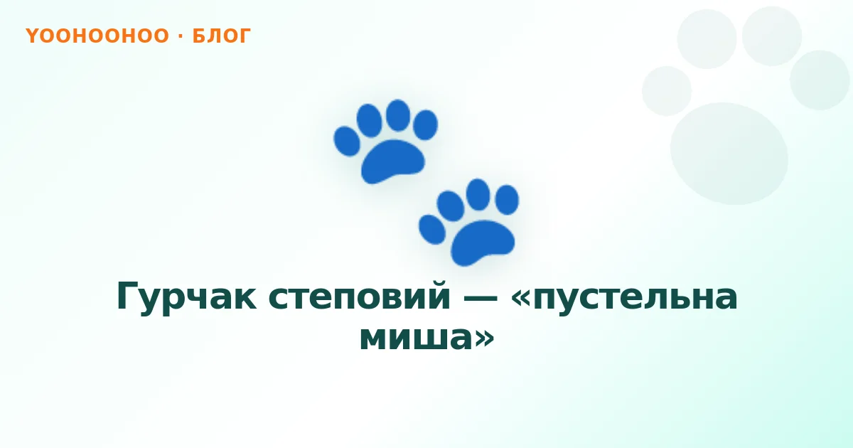 Гурчак степовий — «пустельна миша»
