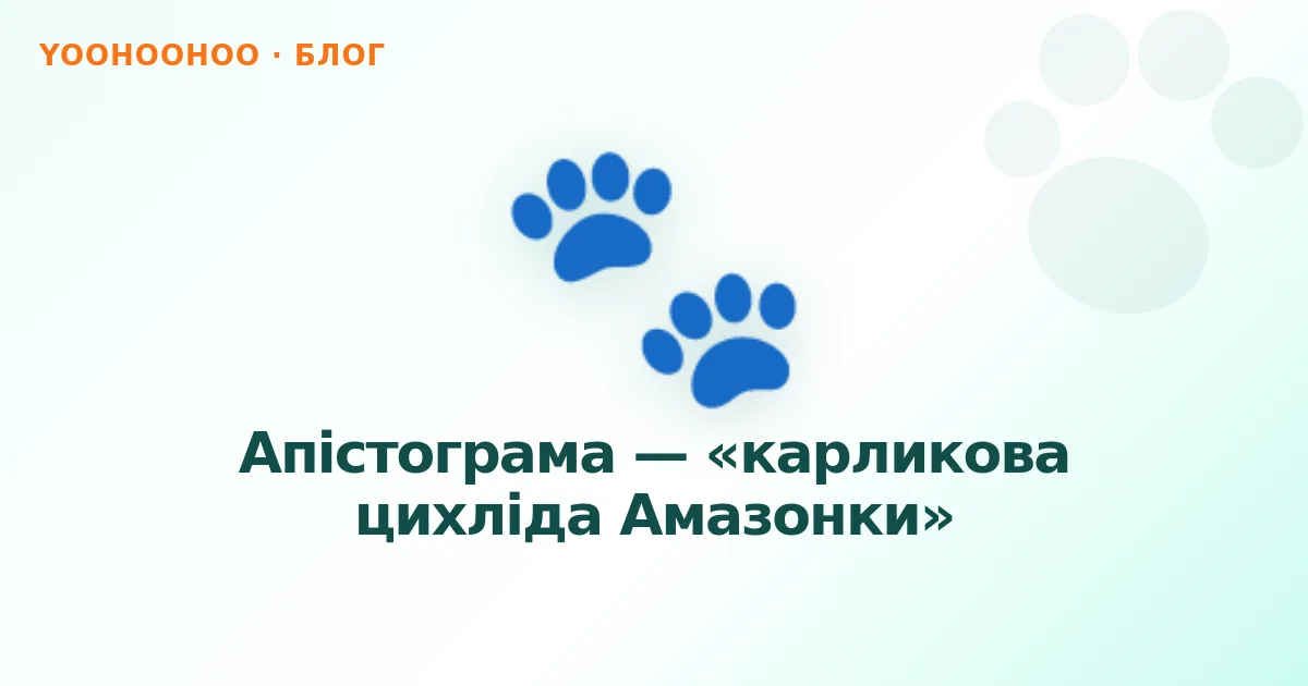 Апістограма — «карликова цихліда Амазонки»