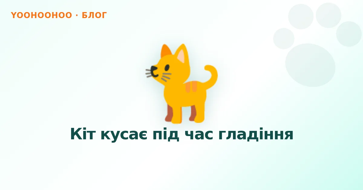 Кіт кусає під час гладіння