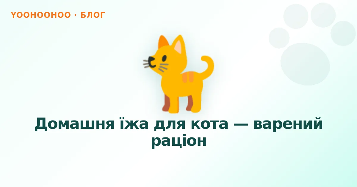 Домашня їжа для кота — варений раціон