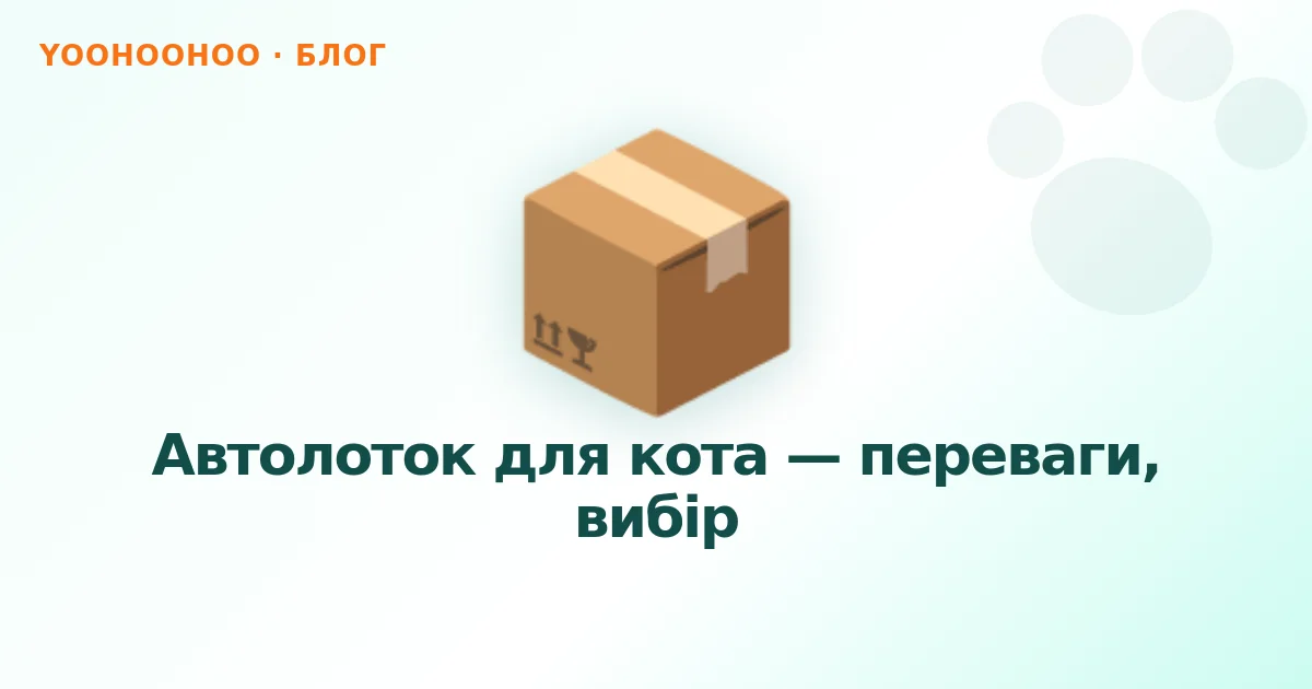 Автолоток для кота — переваги, вибір