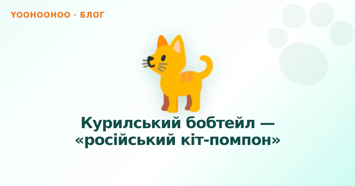 Курилський бобтейл — «російський кіт-помпон»