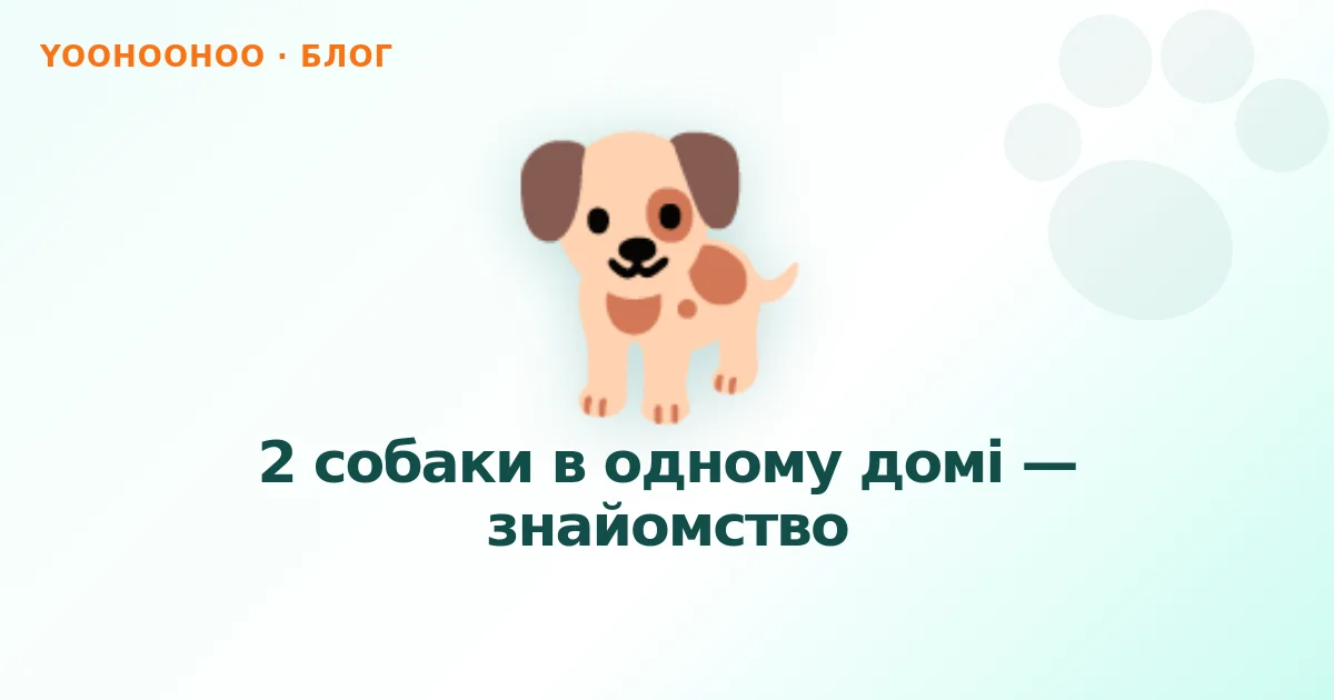 2 собаки в одному домі — знайомство