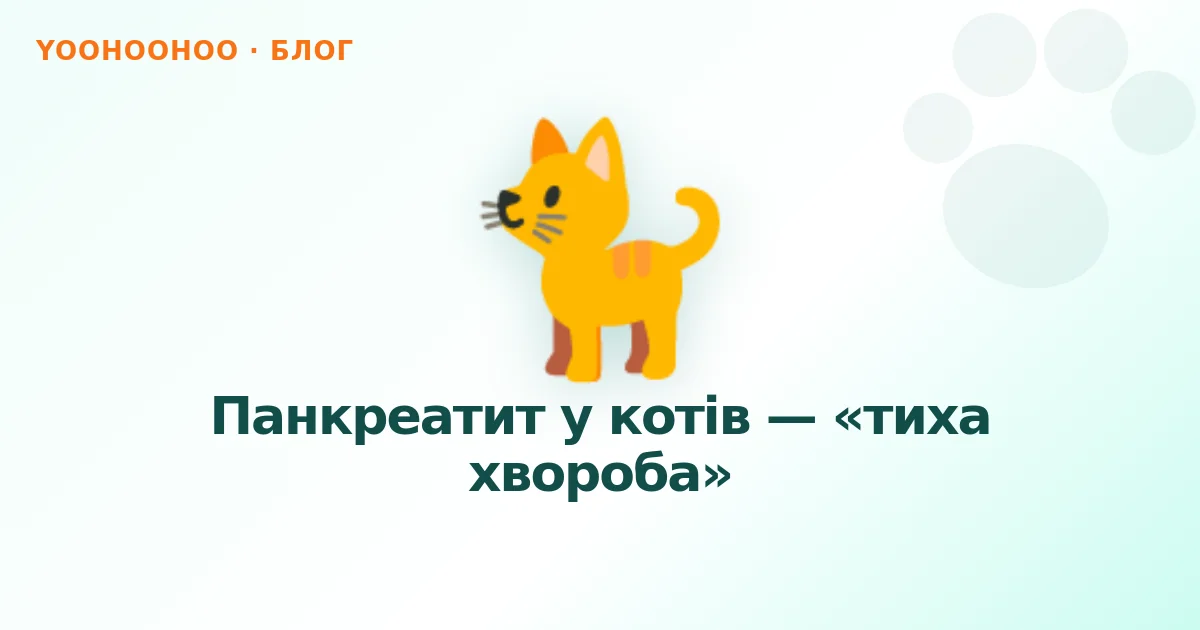 Панкреатит у котів — «тиха хвороба»