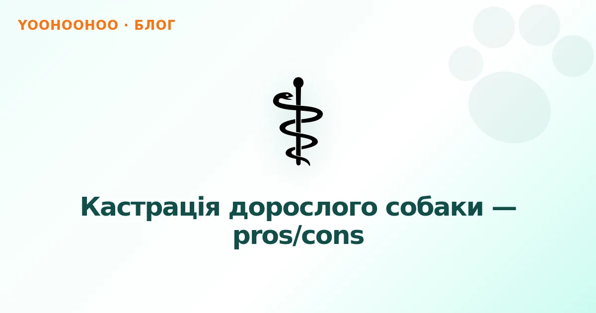 Кастрація дорослого собаки — pros/cons