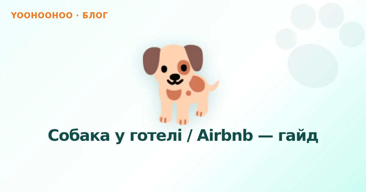 Собака у готелі / Airbnb — гайд
