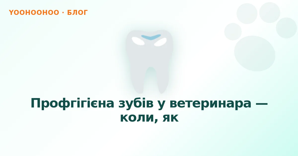 Профгігієна зубів у ветеринара — коли, як