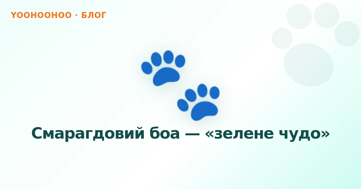 Смарагдовий боа — «зелене чудо»
