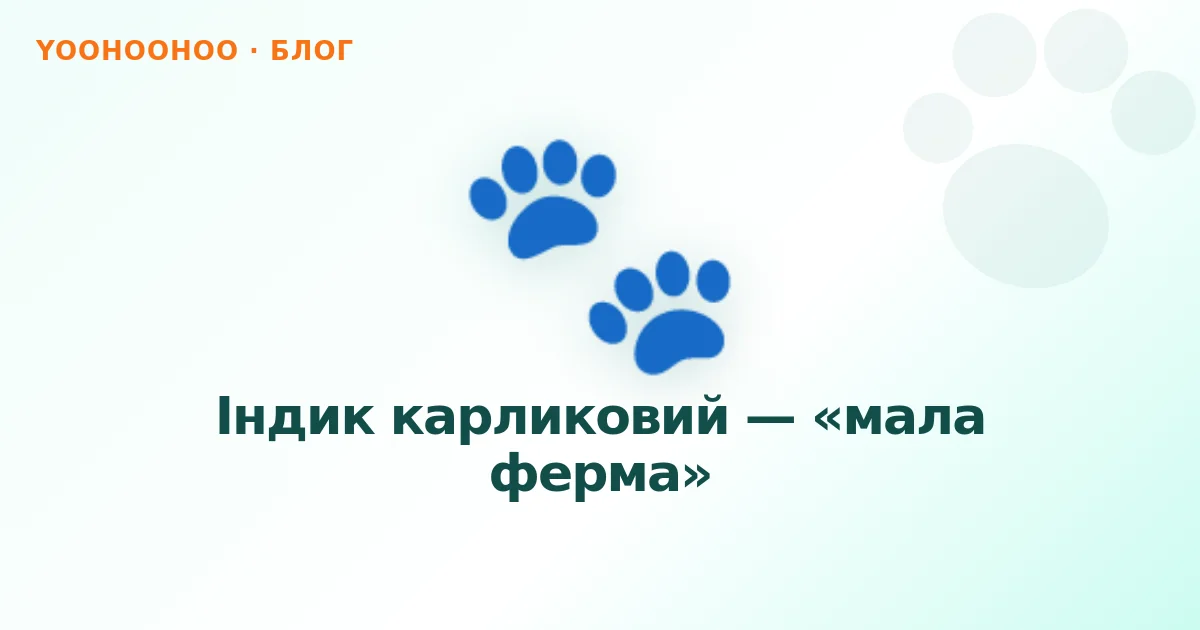 Індик карликовий — «мала ферма»