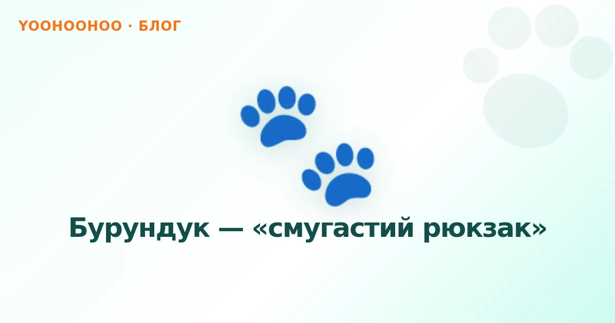 Бурундук — «смугастий рюкзак»