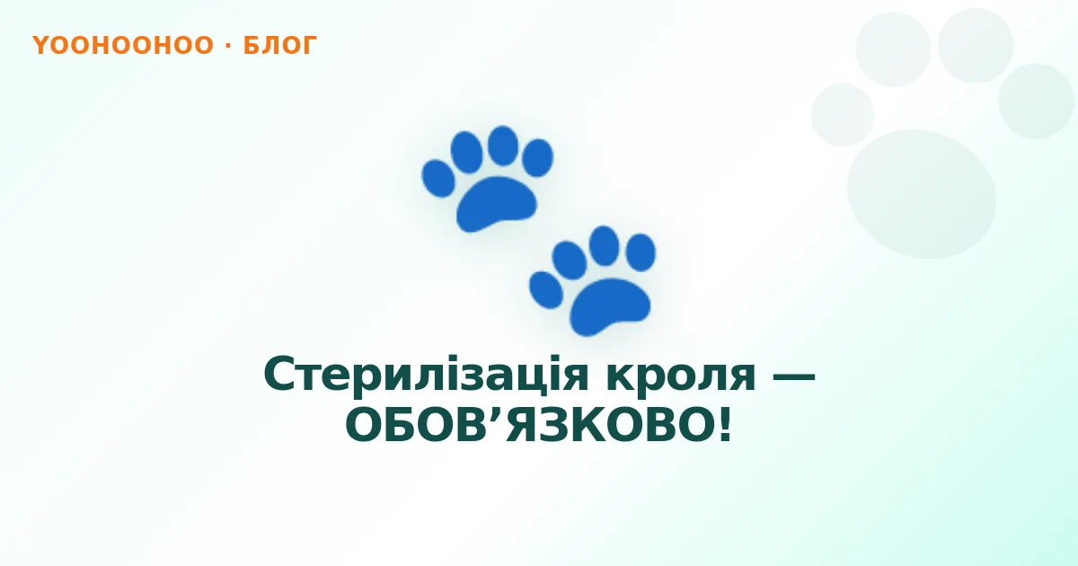 Стерилізація кроля — ОБОВ’ЯЗКОВО!