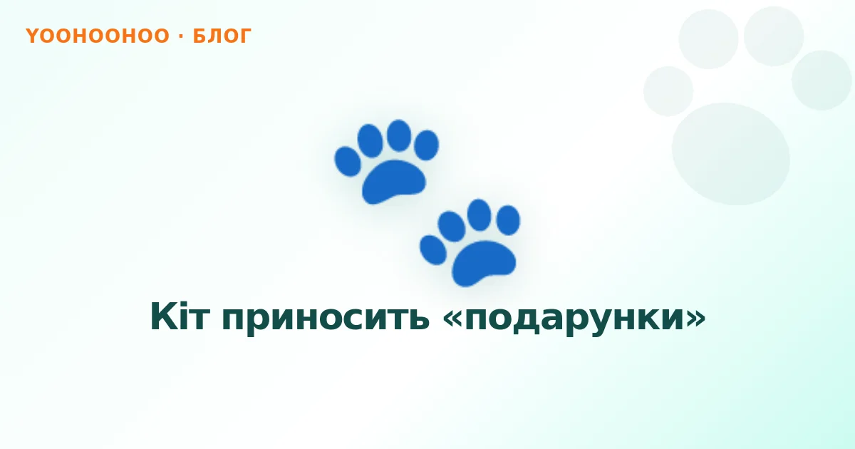 Кіт приносить «подарунки»