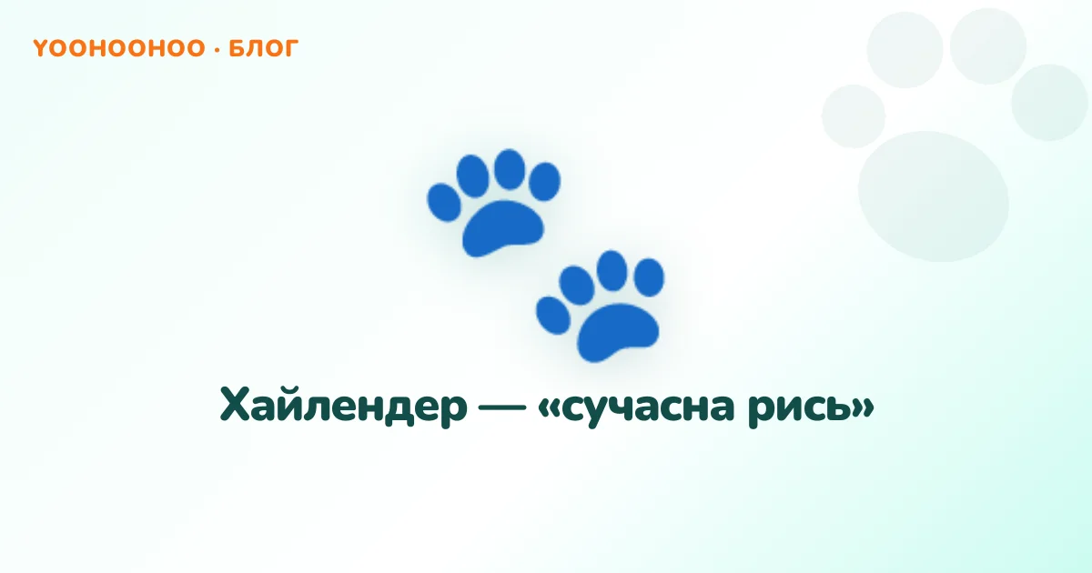 Хайлендер — «сучасна рись»