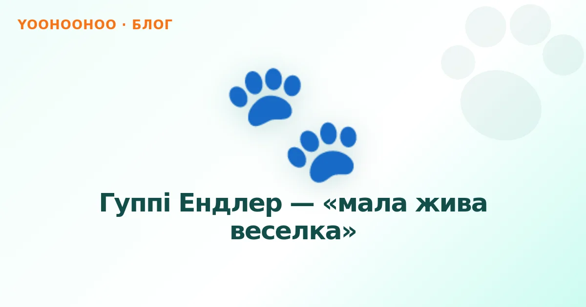 Гуппі Ендлер — «мала жива веселка»