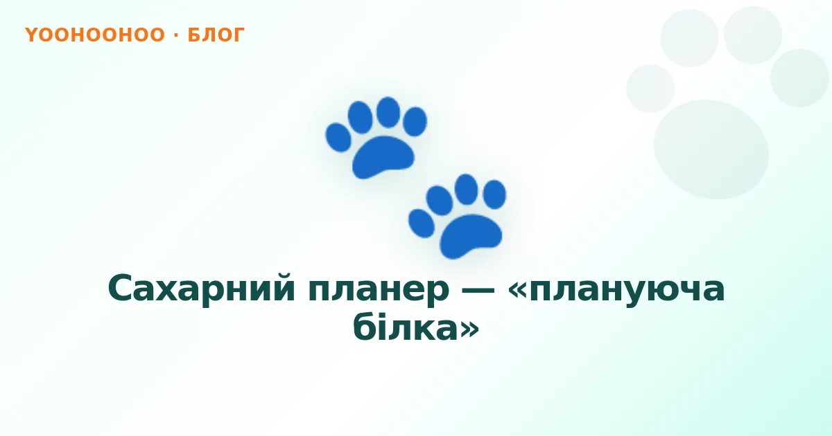 Сахарний планер — «плануюча білка»