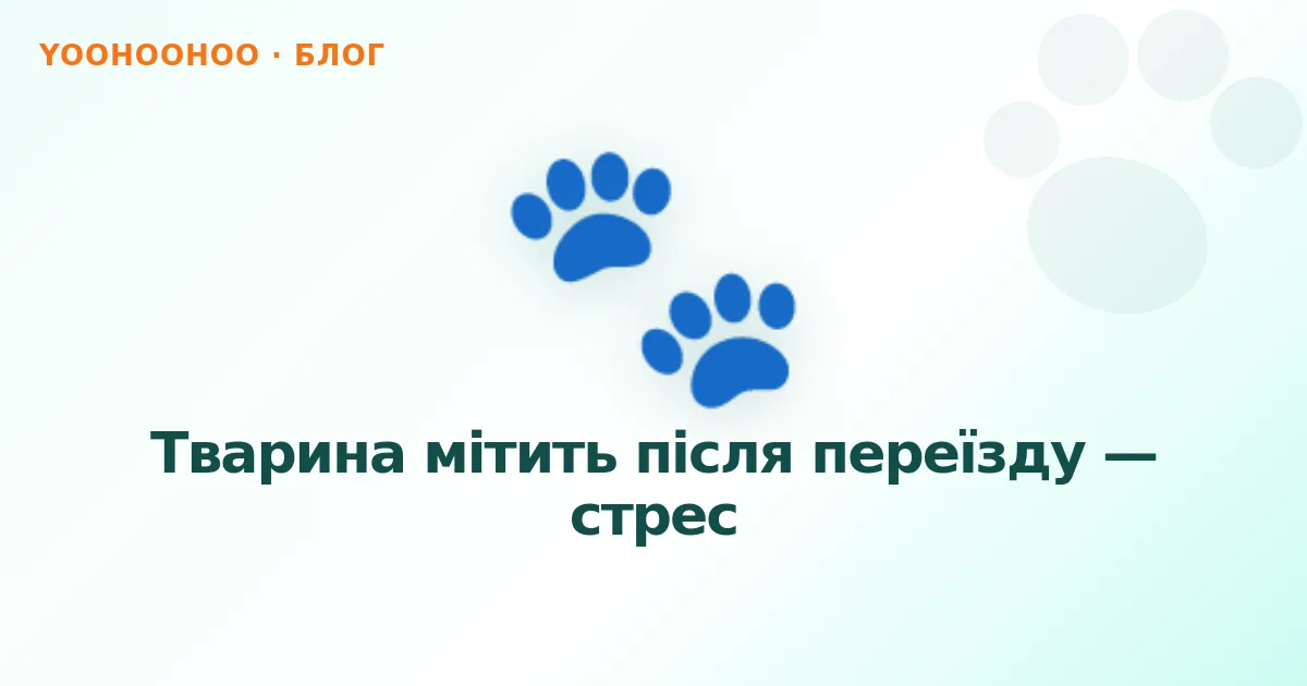 Тварина мітить після переїзду — стрес