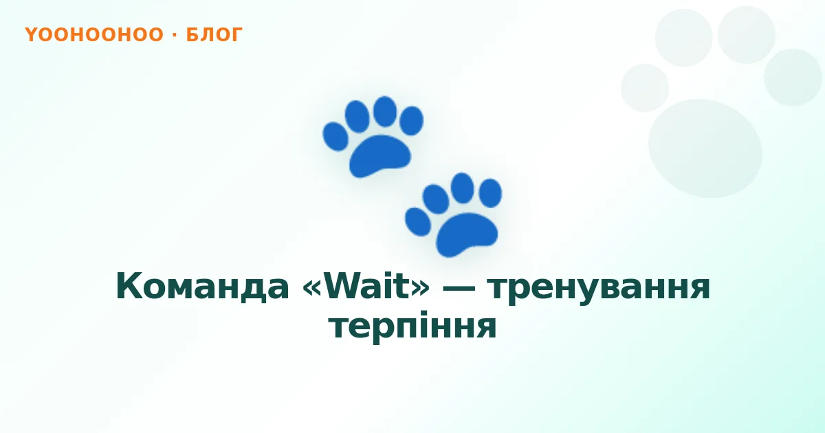 Команда «Wait» — тренування терпіння