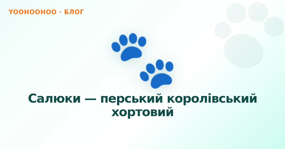 Салюки — перський королівський хортовий