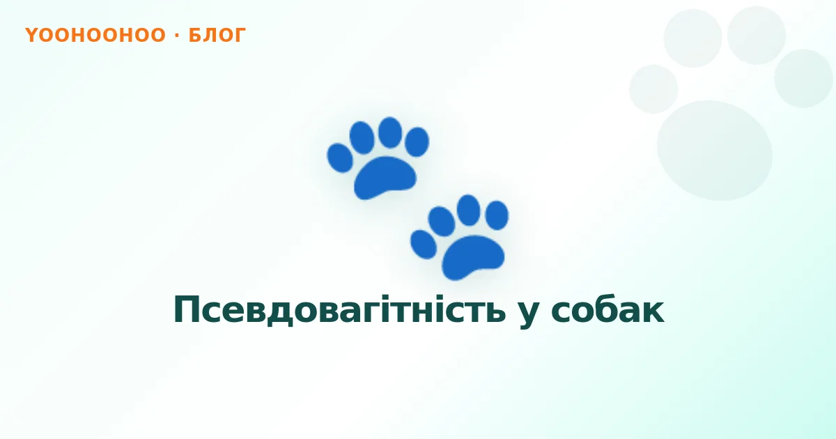 Псевдовагітність у собак