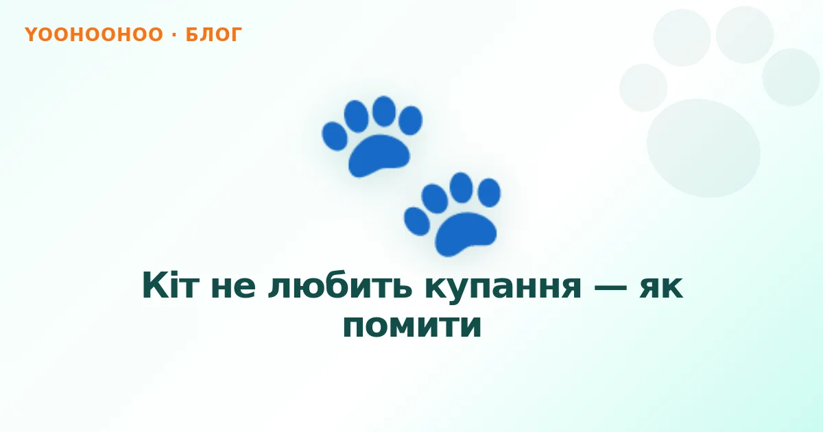 Кіт не любить купання — як помити