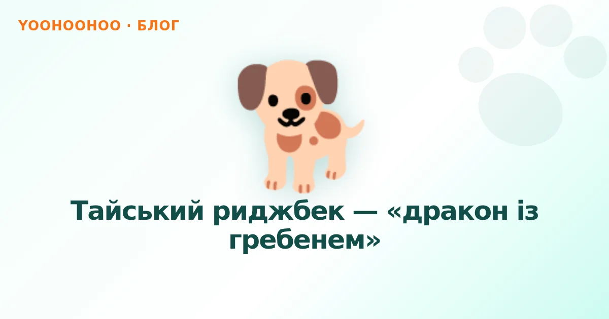 Тайський риджбек — «дракон із гребенем»