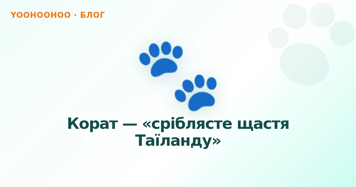 Корат — «сріблясте щастя Таїланду»