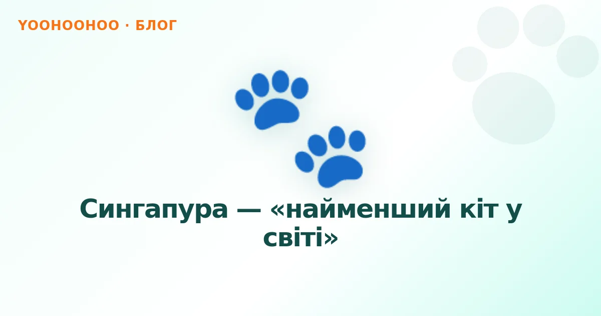 Сингапура — «найменший кіт у світі»