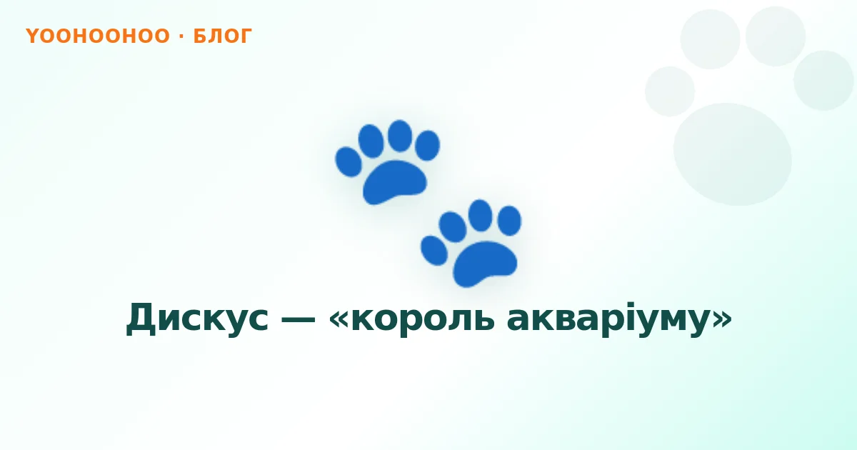 Дискус — «король акваріуму»