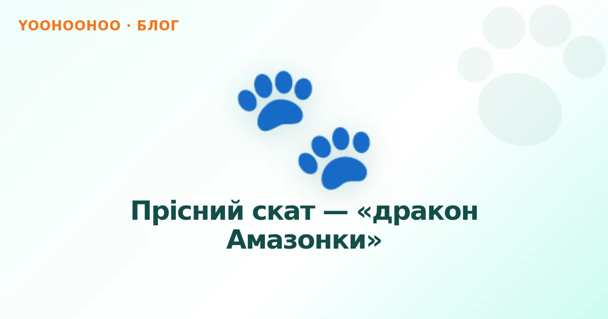 Прісний скат — «дракон Амазонки»