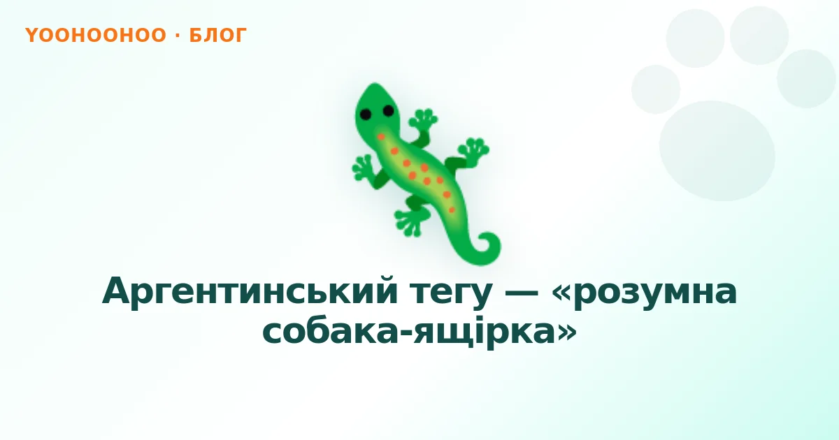 Аргентинський тегу — «розумна собака-ящірка»