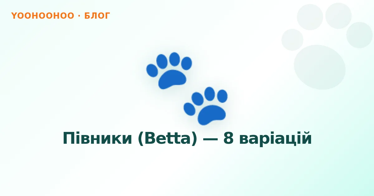 Півники (Betta) — 8 варіацій