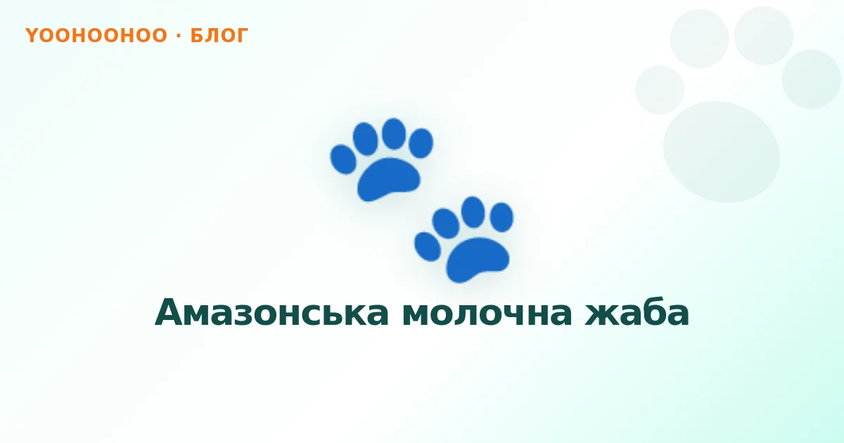 Амазонська молочна жаба