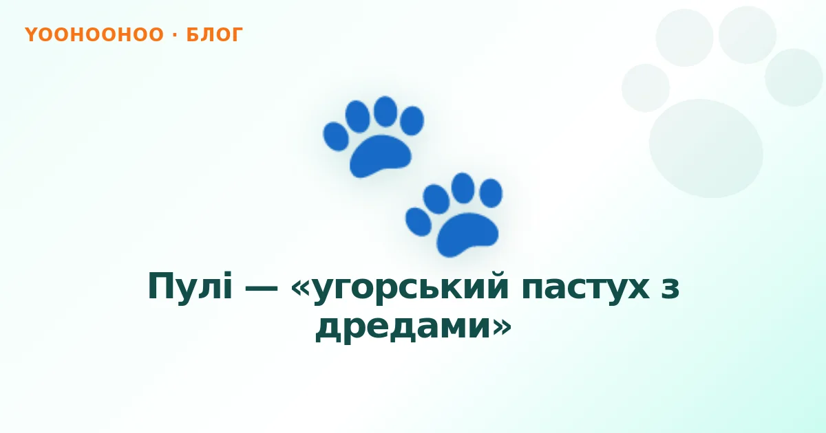 Пулі — «угорський пастух з дредами»