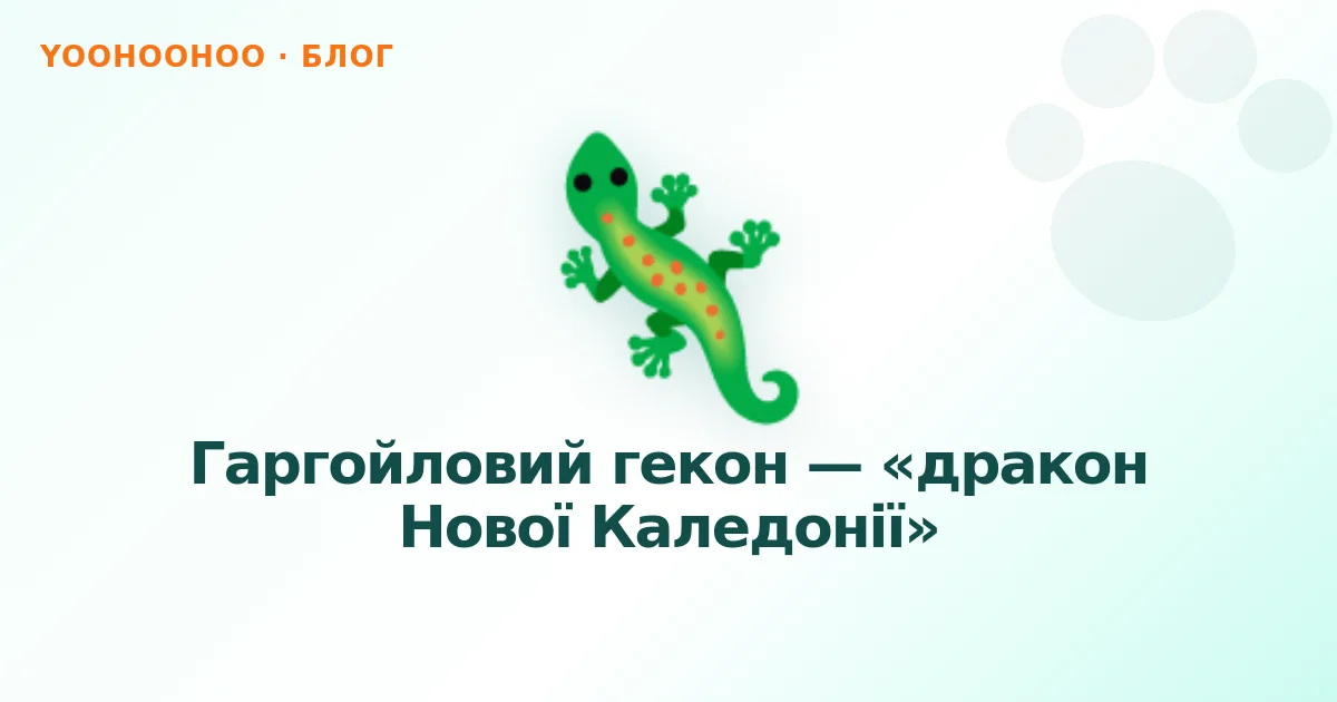 Гаргойловий гекон — «дракон Нової Каледонії»
