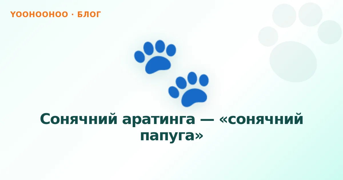 Сонячний аратинга — «сонячний папуга»