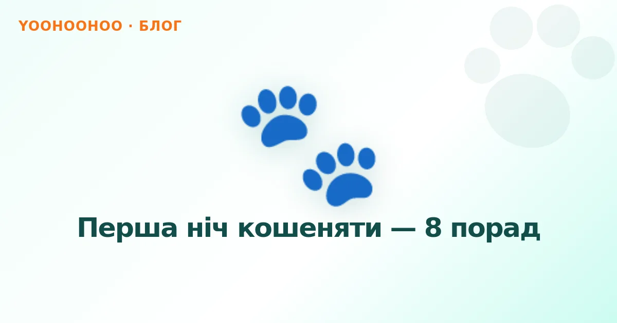 Перша ніч кошеняти — 8 порад