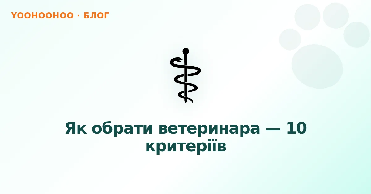 Як обрати ветеринара — 10 критеріїв