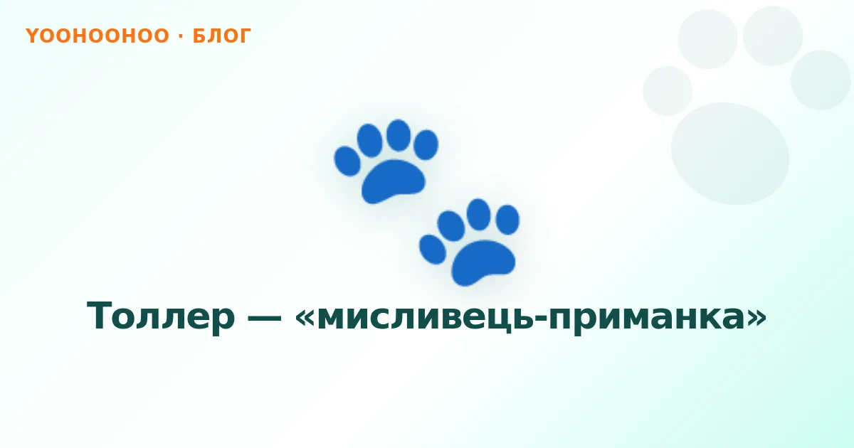 Толлер — «мисливець-приманка»