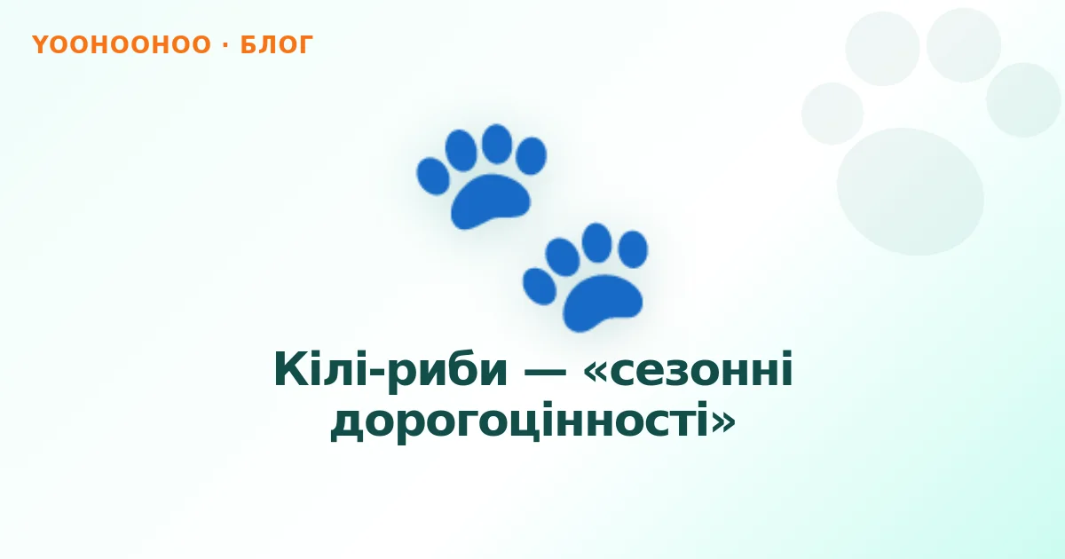 Кілі-риби — «сезонні дорогоцінності»