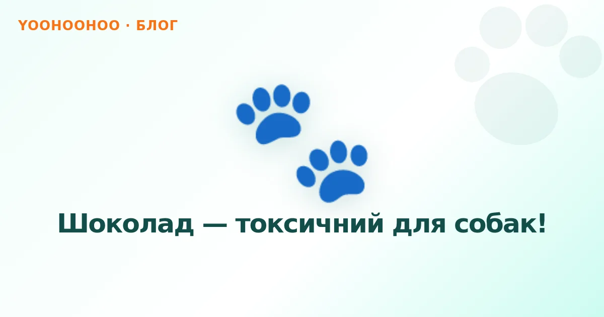 Шоколад — токсичний для собак!
