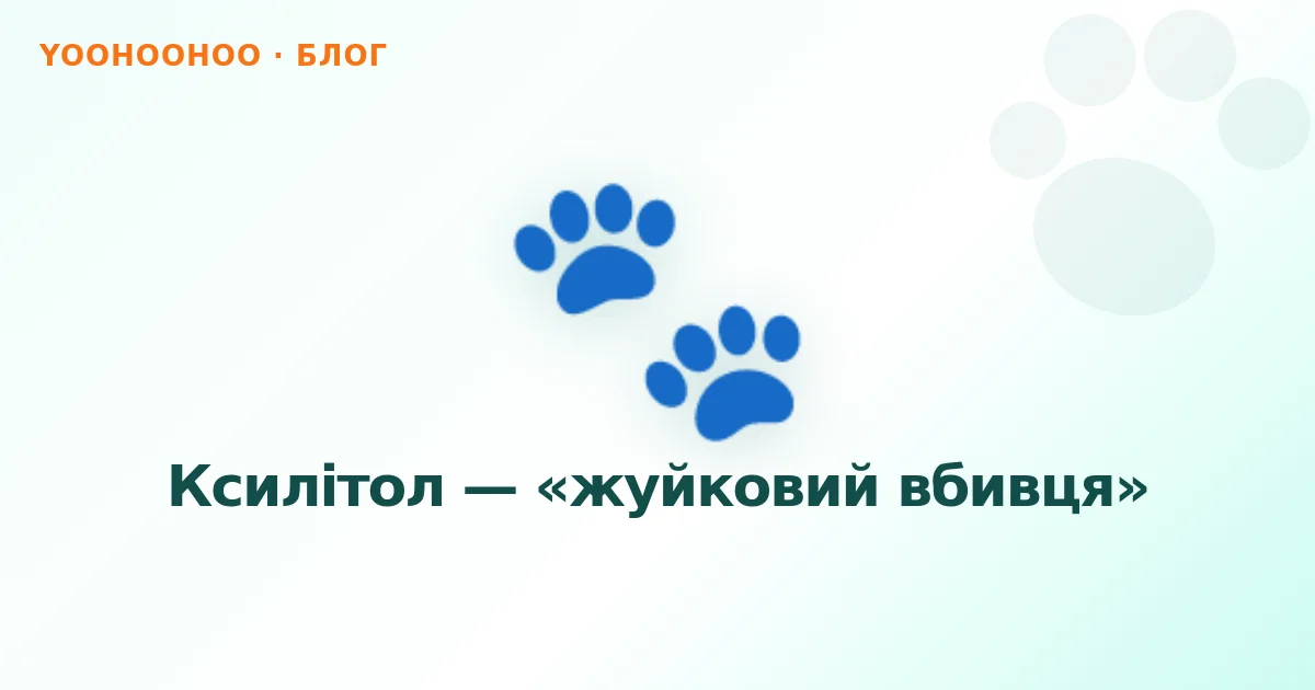 Ксилітол — «жуйковий вбивця»