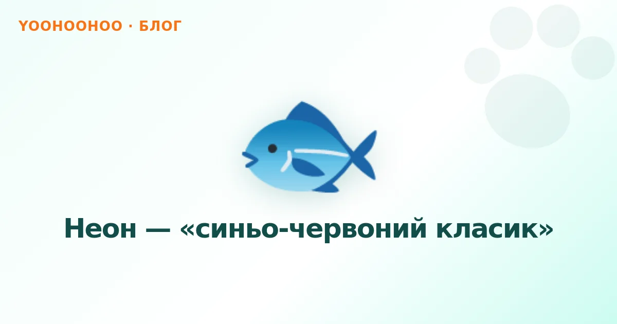Неон — «синьо-червоний класик»