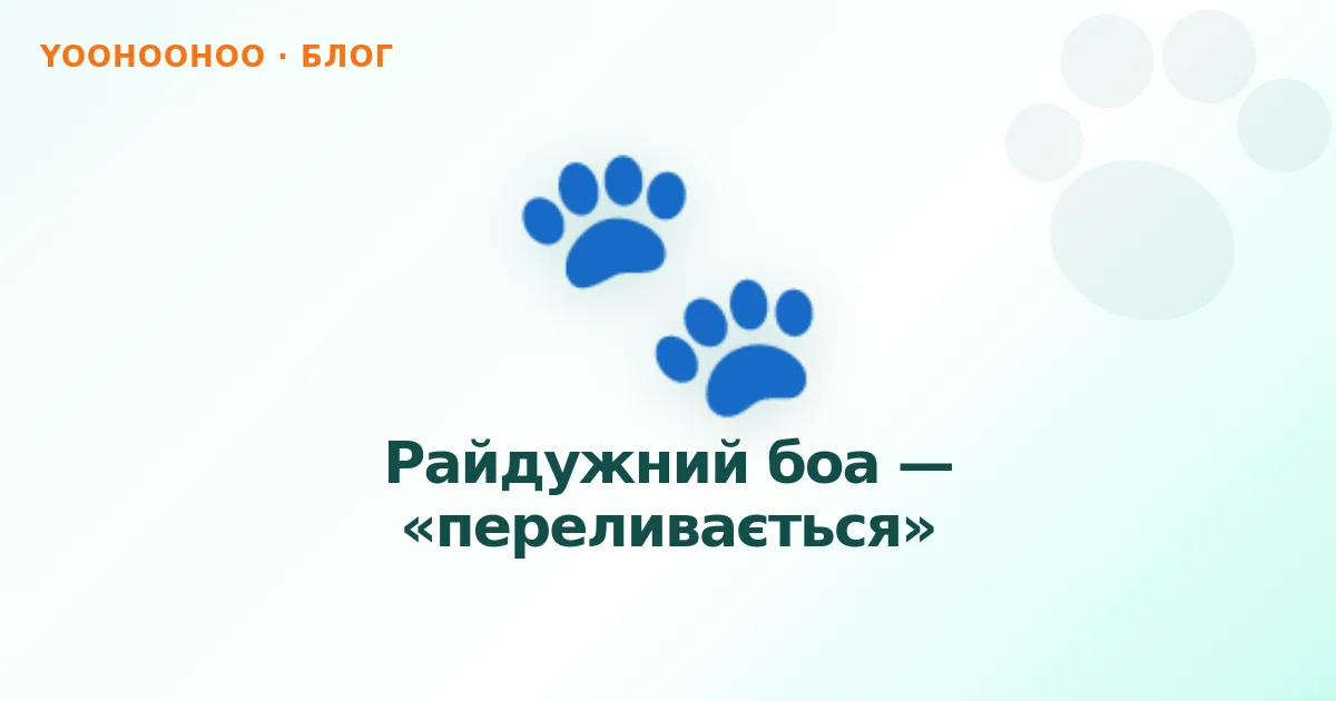 Райдужний боа — «переливається»