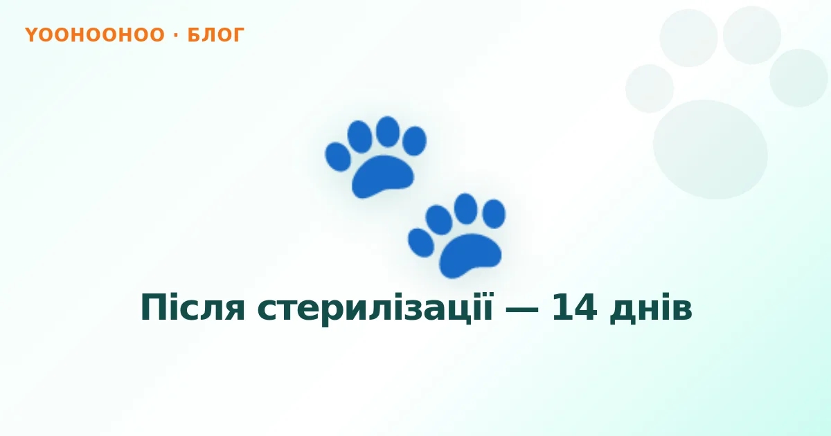 Після стерилізації — 14 днів