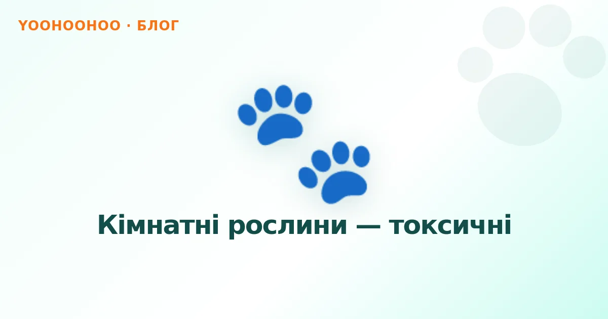 Кімнатні рослини — токсичні