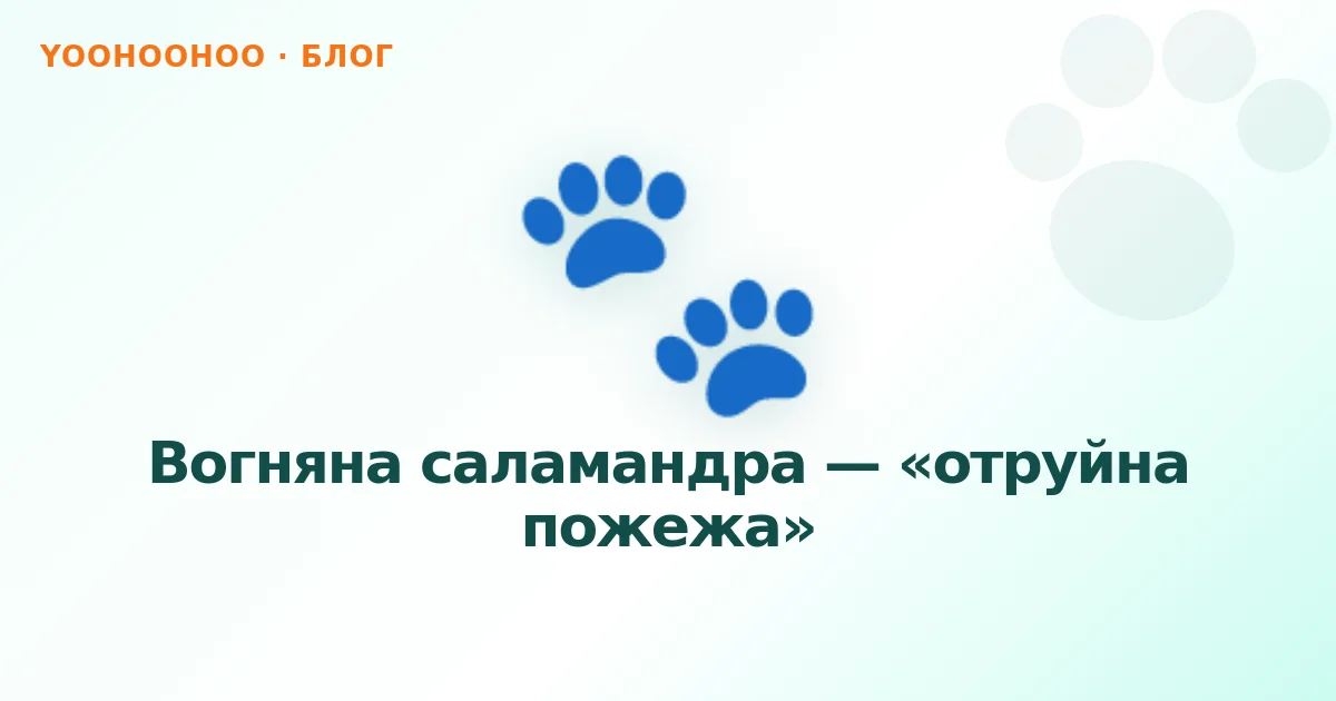 Вогняна саламандра — «отруйна пожежа»