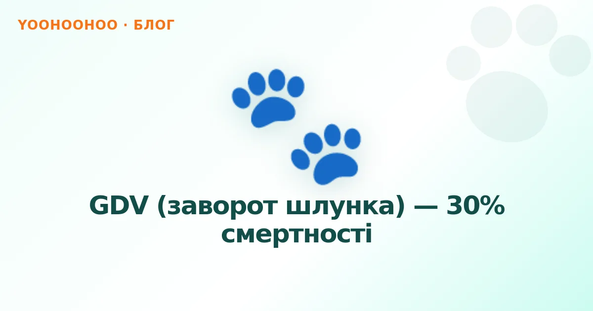 GDV (заворот шлунка) — 30% смертності