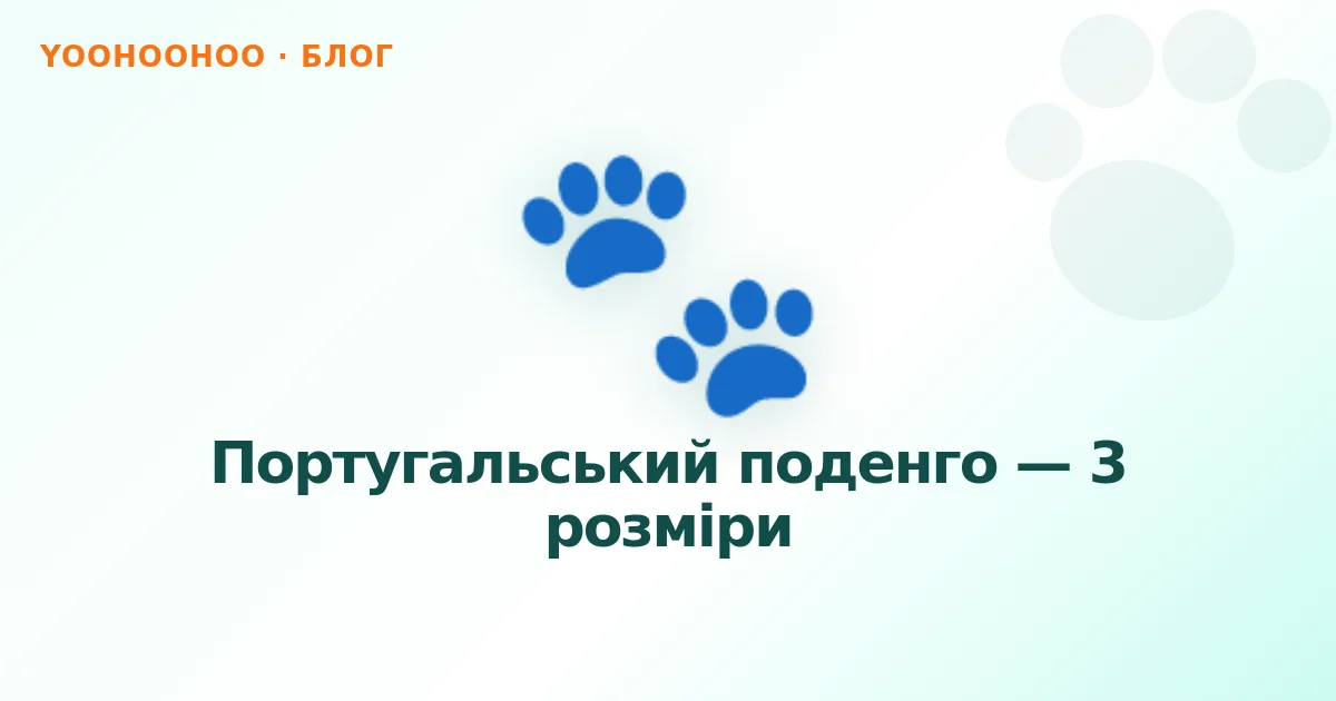 Португальський поденго — 3 розміри